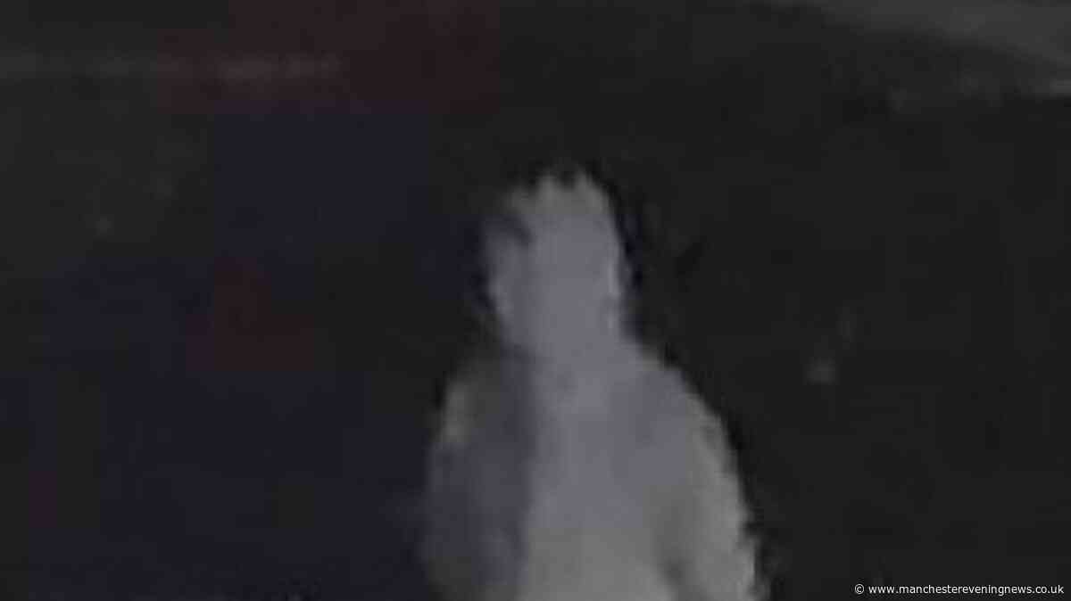 CCTV appeal after home 'petrol bombed' in vile attack