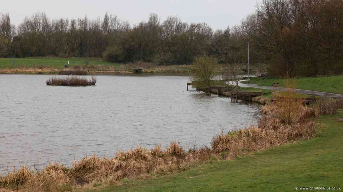 Police destroy dog after attack near North East lake leaves woman and pet injured