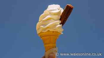Shopper finds 'cheapest ice cream in UK' at popular store that thousands visit