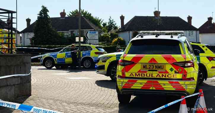 French man charged with rape and murder  of girl, 2, in Chertsey