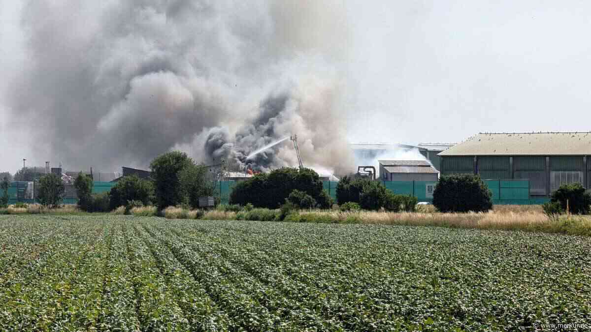 Großbrand bei Umwelt Wurzer: Feuerwehren kämpfen seit Stunden gegen die Flammen an