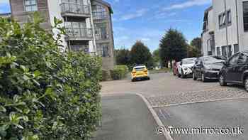 Plymouth street locked down with huge police response as residents told 'go back inside' homes