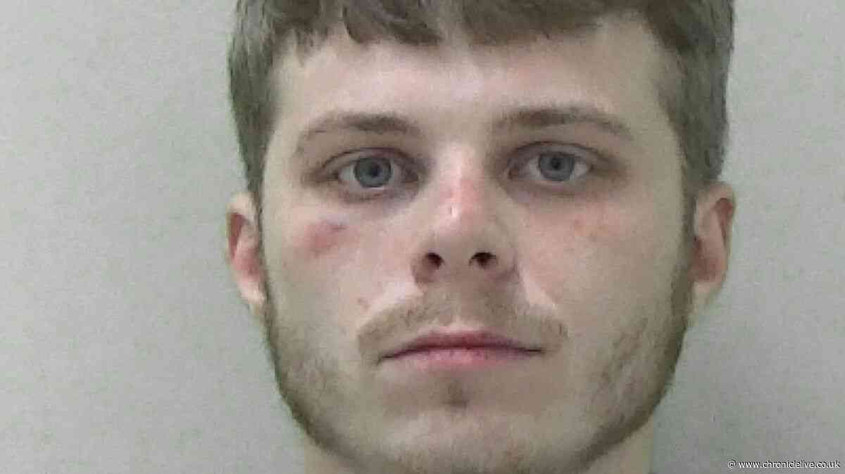 Newcastle brute forced his way into partner's home and punched her in front of child