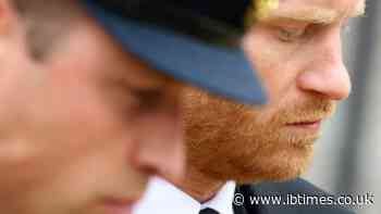 'William Won't Take His Calls': Prince Harry Ghosted by His Brother Ahead of Historic UK Family Return