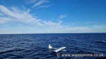 Rescuers issue update on two casualties in plane that ditched into the sea off Wales
