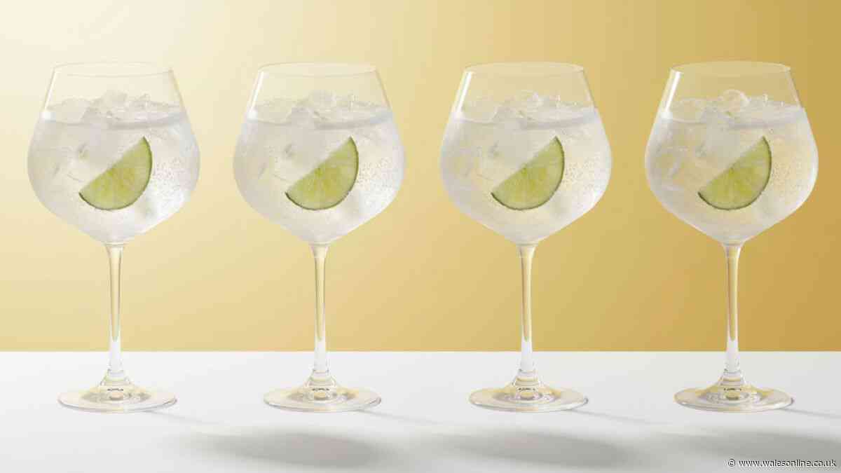 Stylish John Lewis cocktail glasses with 'room for ice and lemon' now £2.58 each