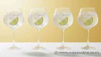 Stylish John Lewis cocktail glasses with 'room for ice and lemon' now £2.58 each