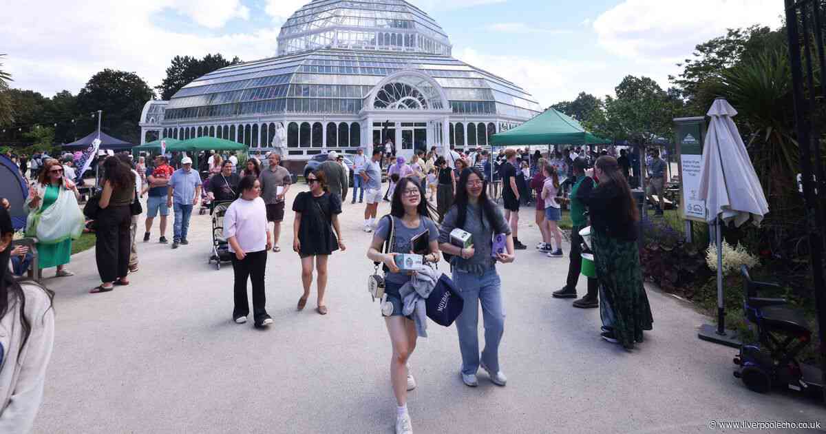 12 brilliant photos from inside Sefton Park's Japanese festival