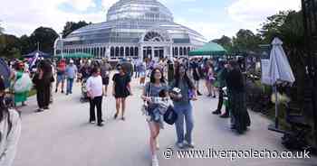 12 brilliant photos from inside Sefton Park's Japanese festival