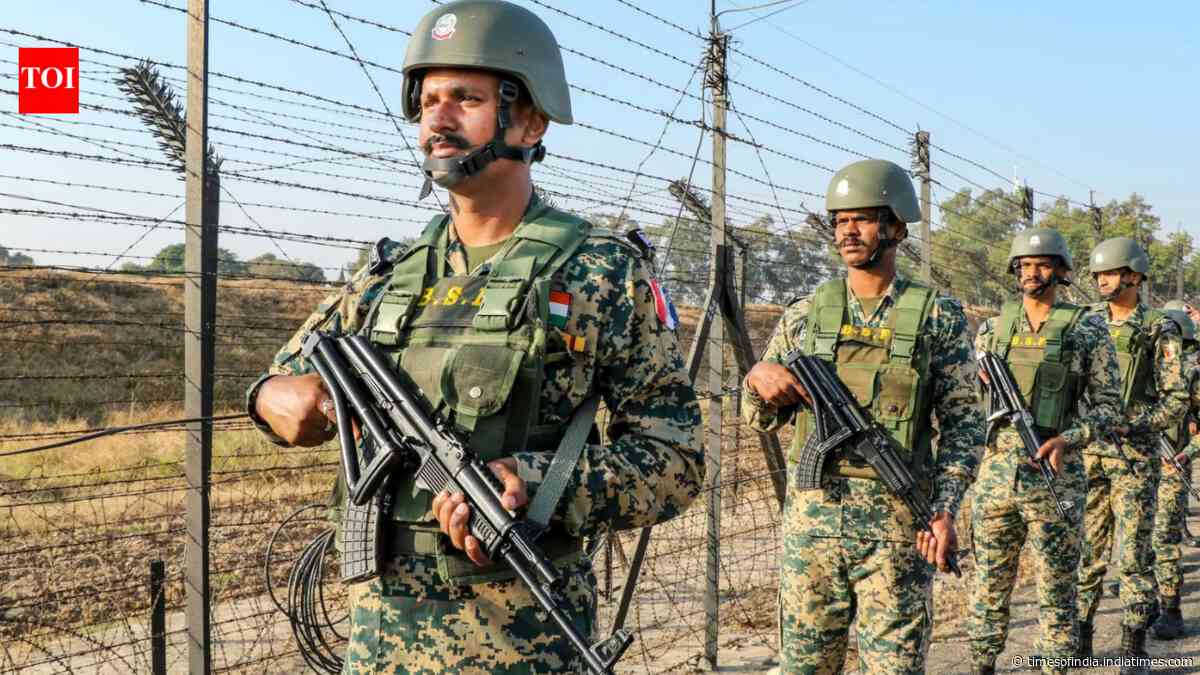 31-year-old Pakistani national held after crossing LoC in Poonch