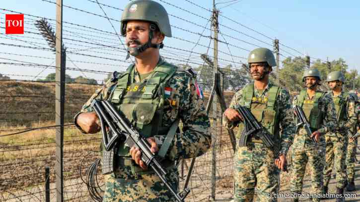 31-year-old Pakistani national held after crossing LoC in Poonch