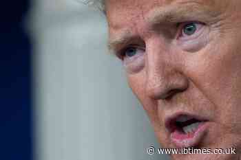 'His Abilities Are Declining Significantly': Speech Pathologist Sounds Alarm Over Trump's National Mall Rant