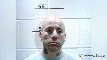 Violent offender convicted of manslaughter, numerous assaults expected to live in Winnipeg