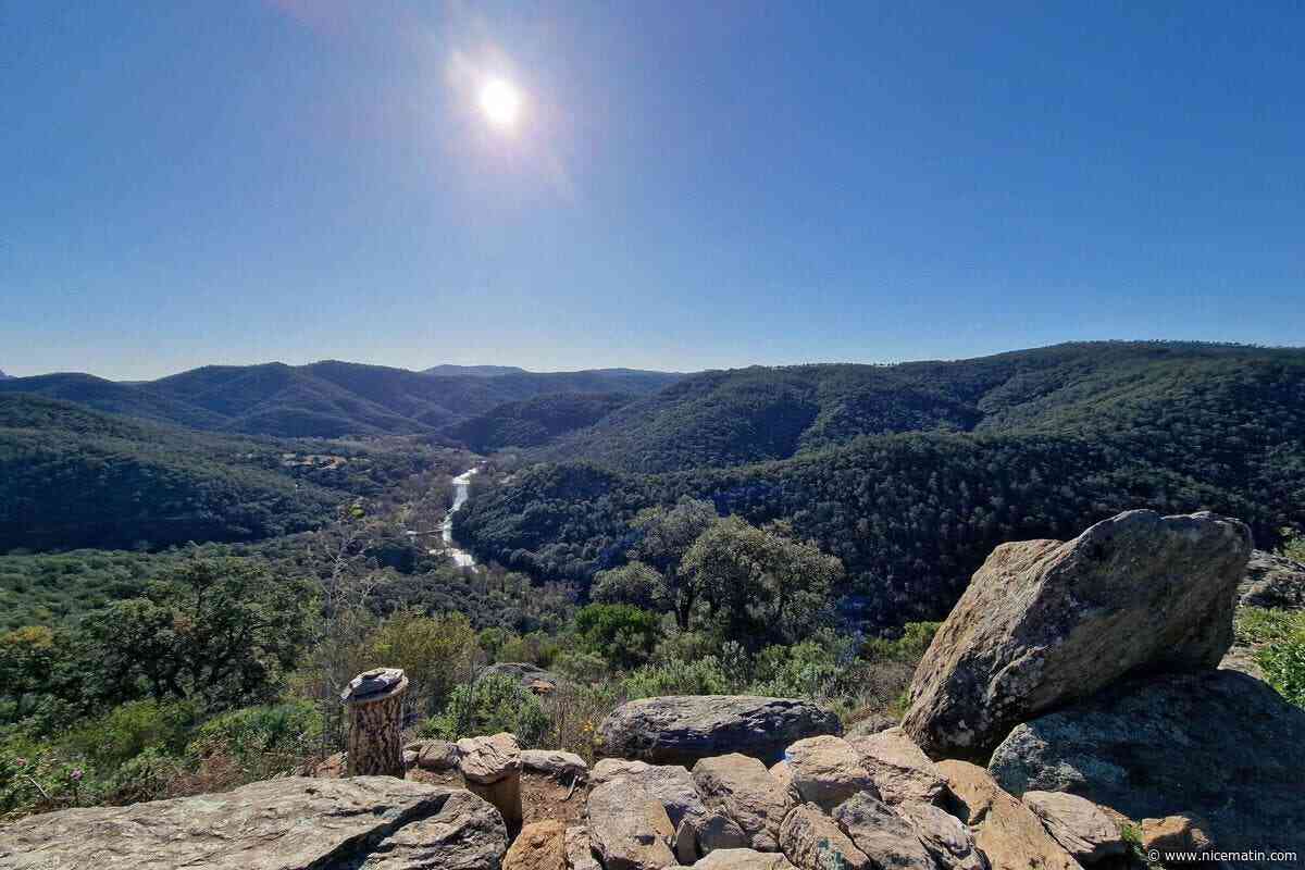 Deux massifs varois fermés ce lundi pour risque « très sévère » d’incendie, accès déconseillé pour les six autres