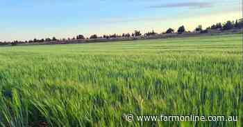 Super, taxes, labour: FY26-27 will deliver cost hike triple-hit for farmers