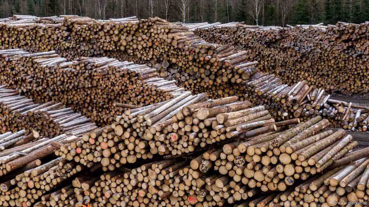 Nachbar verhindert Schlimmeres: 32-Jähriger wollte Sägewerk in Brand stecken