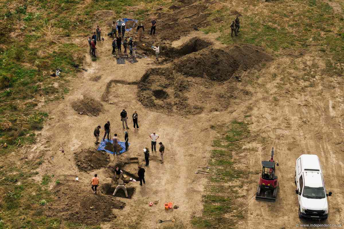 Over 100 dead dogs with gunshot wounds unearthed in ‘horrific scene’ at California ‘no-kill’ shelter