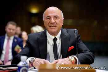Fox forced to apologize after Shark Tank star Kevin O’Leary makes wild claims about opponents of his vast AI data center