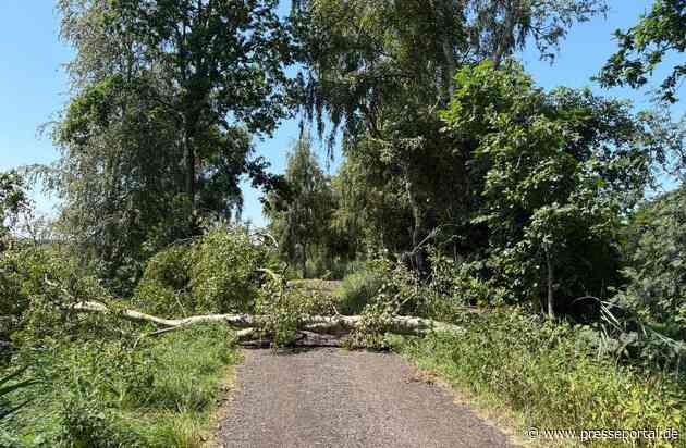 FFW Schiffdorf: Unwetter sorgt für viele Einsätze im Gemeindegebiet Schiffdorf