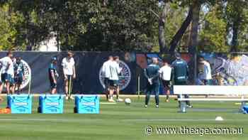 Socceroos prepare for Egypt clash