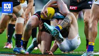 Dozens of former Australian Rules footballers diagnosed with CTE