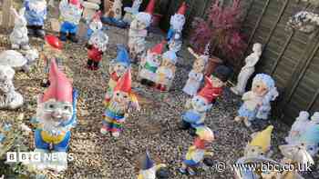 Gnomes looking for homes traumatise neighbourhood