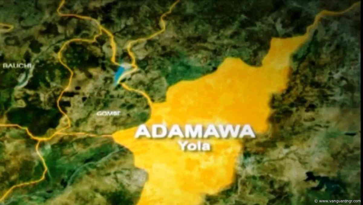 2027: Godfathers won’t decide Adamawa polls — PDP guber candidate
