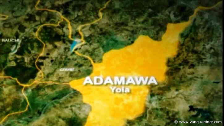 2027: Godfathers won’t decide Adamawa polls — PDP guber candidate