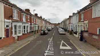 Two men are charged with multiple counts of rape after woman, 18, 'was attacked by strangers'