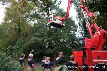Brandweer verwijderd loshangende delen van boom