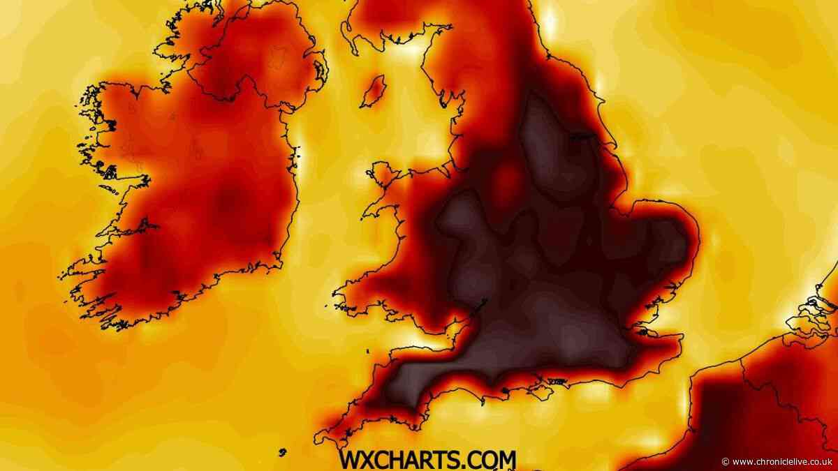UK's 'hottest ever day' could be just weeks away with country set for temperatures over 40C
