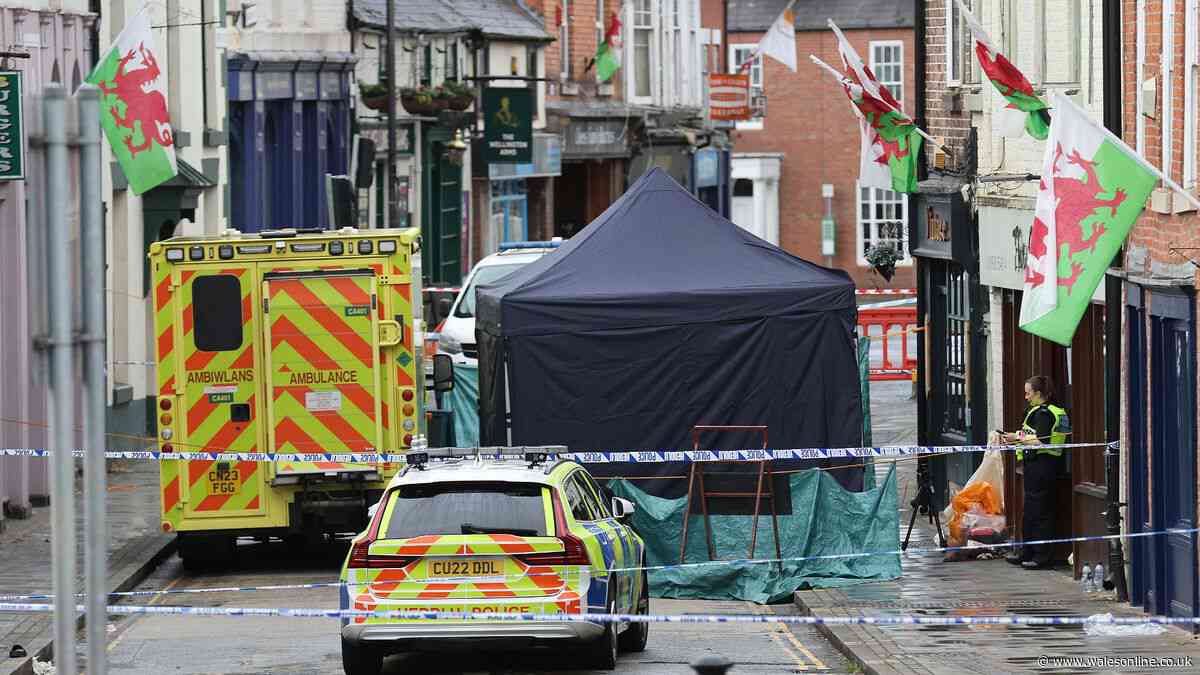 Man, 49, dies in suspected murder - police issue update