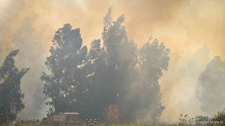 Alerta amarilla en Pichilemu por avance de incendio forestal