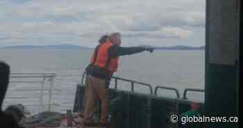 Four rescued from water near Vancouver airport, search ongoing