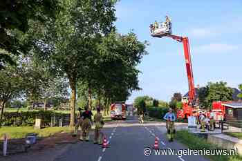 Brandweer verwijdert gevaarlijke takken uit boom