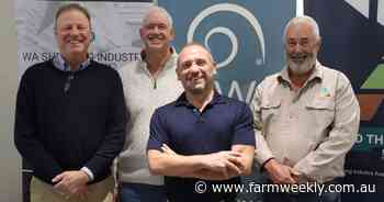 WA industry leaders weigh in on the questions woolgrowers are asking most
