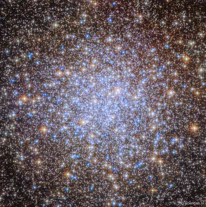 Hubble’s nieuwe foto onthult een verrassend geheim van een oude sterrenhoop