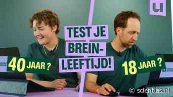 Waarom we bijna alles vergeten (en hoe we ons geheugen kunnen trainen)