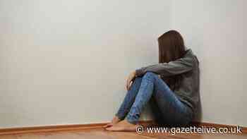 Link worker paid for by council to identify 'hidden victims' of domestic abuse