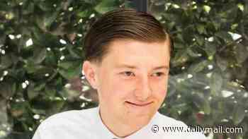 Police watchdog to probe if officers who handcuffed dying student Henry Nowak were influenced by protests at a nearby asylum hotel