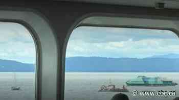 6 still missing, 4 pulled from B.C.'s Georgia Strait amid marine rescue involving civilian vessel