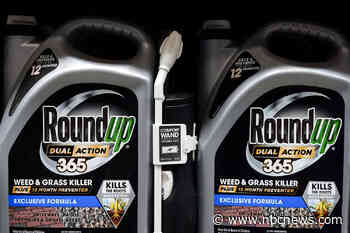 ‘The decision is sickening’: MAHA leaders feel betrayed by Supreme Court ruling on Roundup weed killer