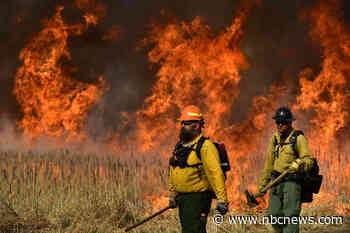 Federal firefighters will be encouraged to wear N95 respirators in major policy reversal