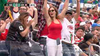 Wild moment unlucky Canadian fan loses her phone in World Cup Mexican wave blunder during clash against South Africa