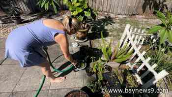 Dry weather raises concerns about at-home fireworks in Tampa Bay