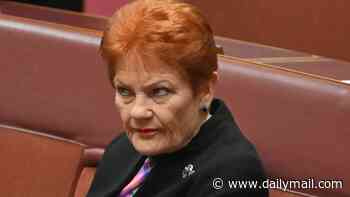 PETER VAN ONSELEN: Truth about Pauline Hanson's poll setback and the 'elitist, arrogant' reaction to Newspoll, Redbridge surveys