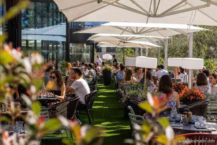 Pourquoi le restaurant Balm à Nice s’impose comme l’une des nouvelles adresses gourmandes à découvrir ?