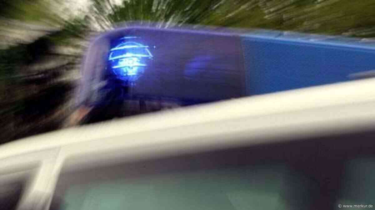 Kamikaze-Fahrer hinterlässt massiven Flurschaden