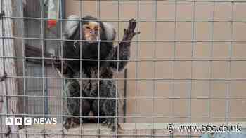 Women fined after 58 animals found in filth