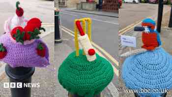 'Our woolly wonders bring smiles to the streets'